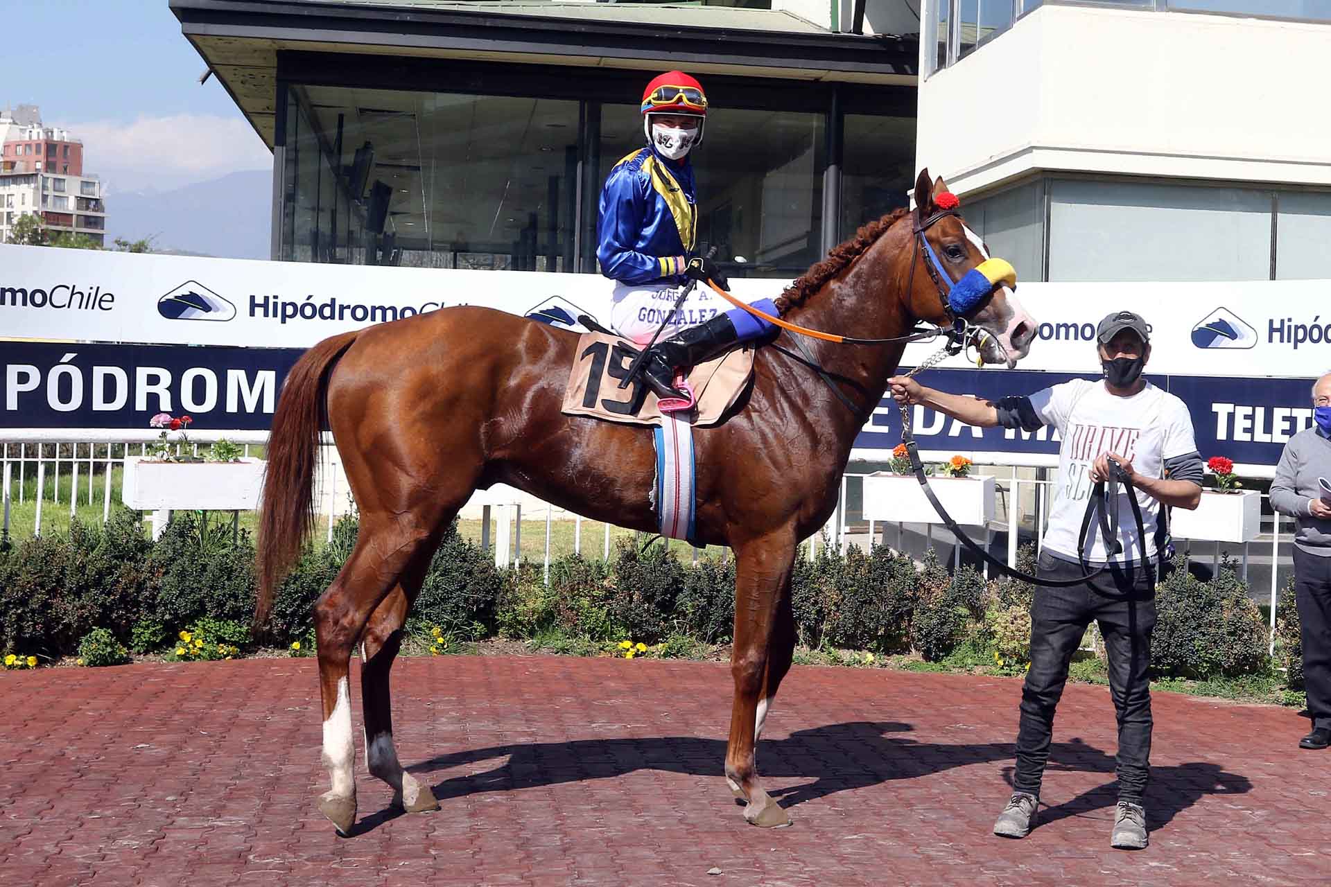 - Soc. Hipódromo Chile S.A.