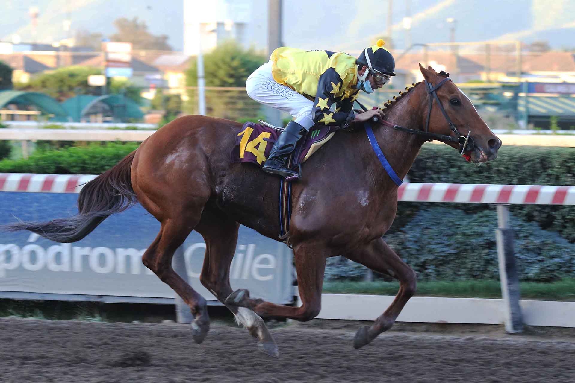 - Soc. Hipódromo Chile S.A.
